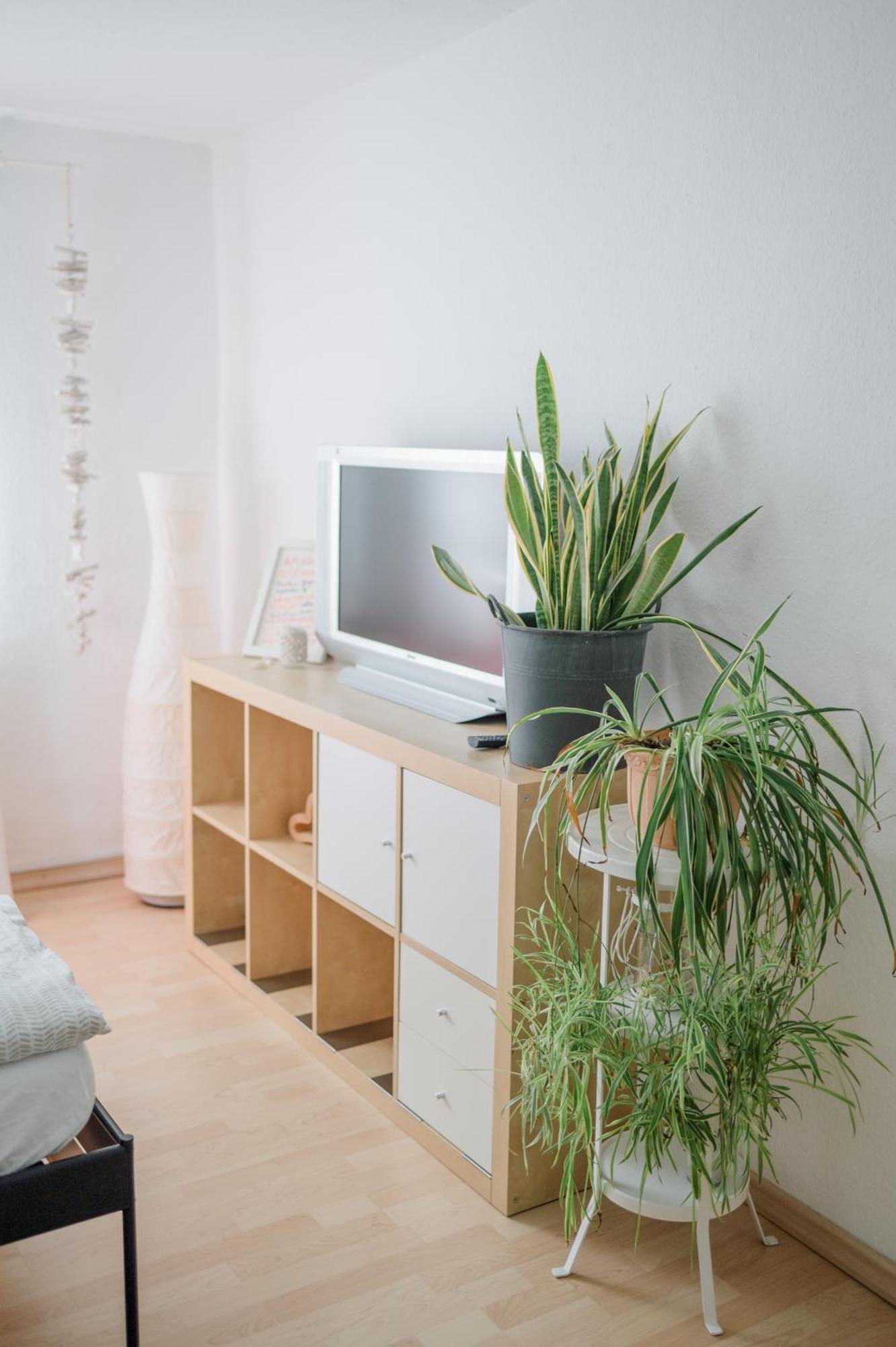 Buchlindenweg - Zimmer & Ferienwohnung Breitscheid  外观 照片